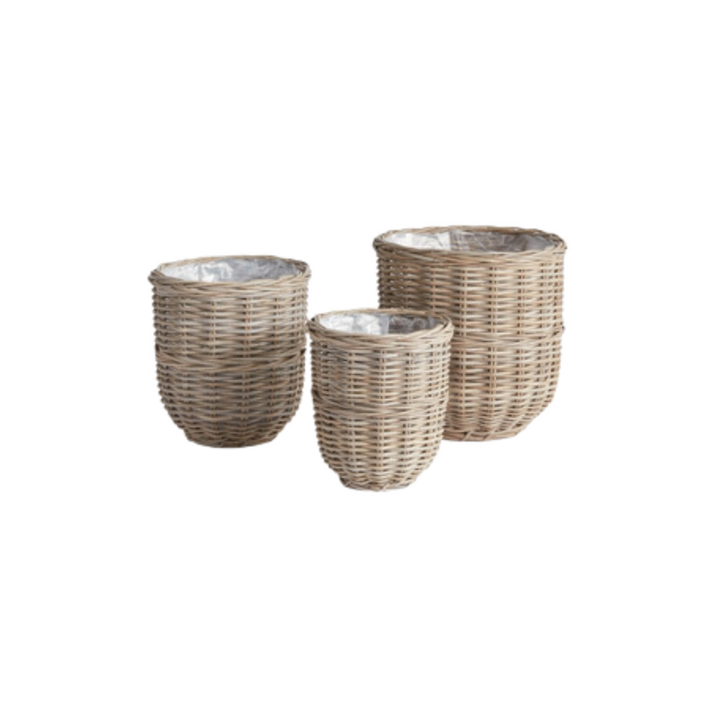 Arlette Basket Planters