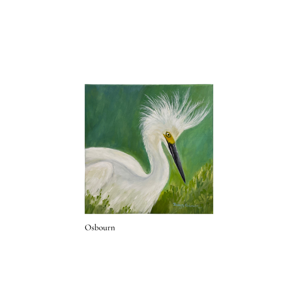 Sassy Egret