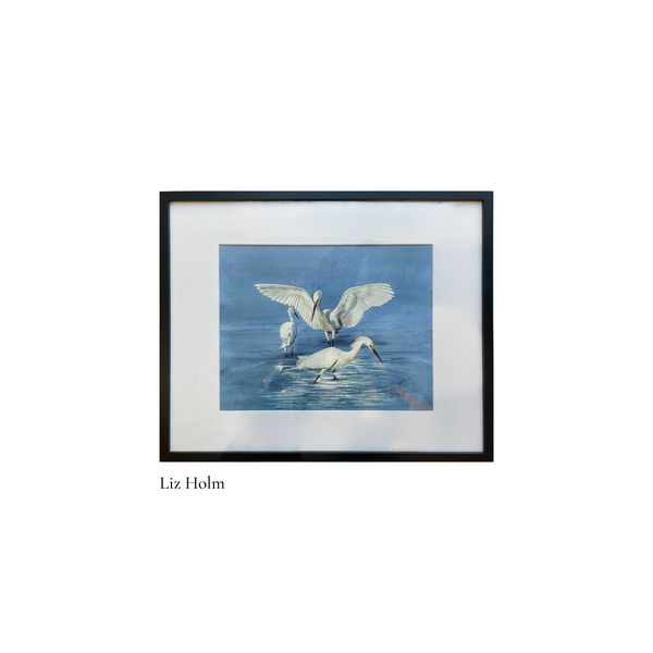 Snowy Egrets