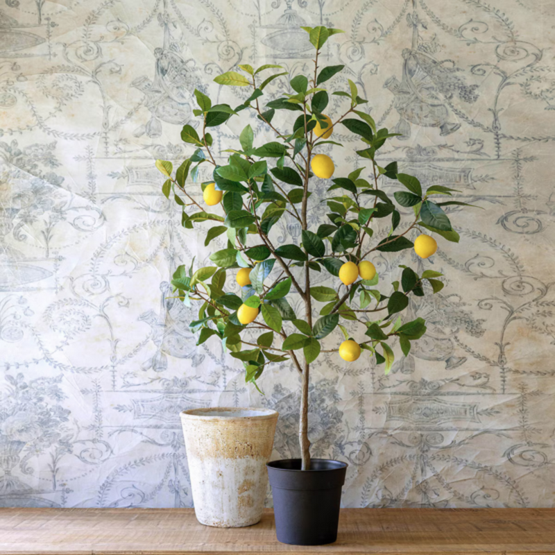 Lemon Tree