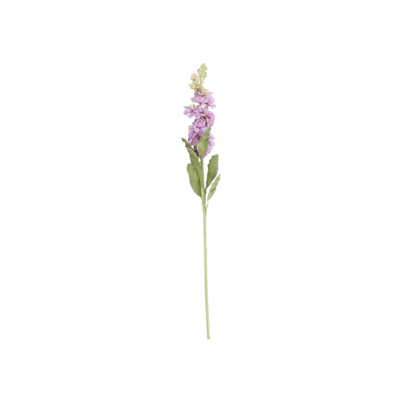 Stock Flower Stem