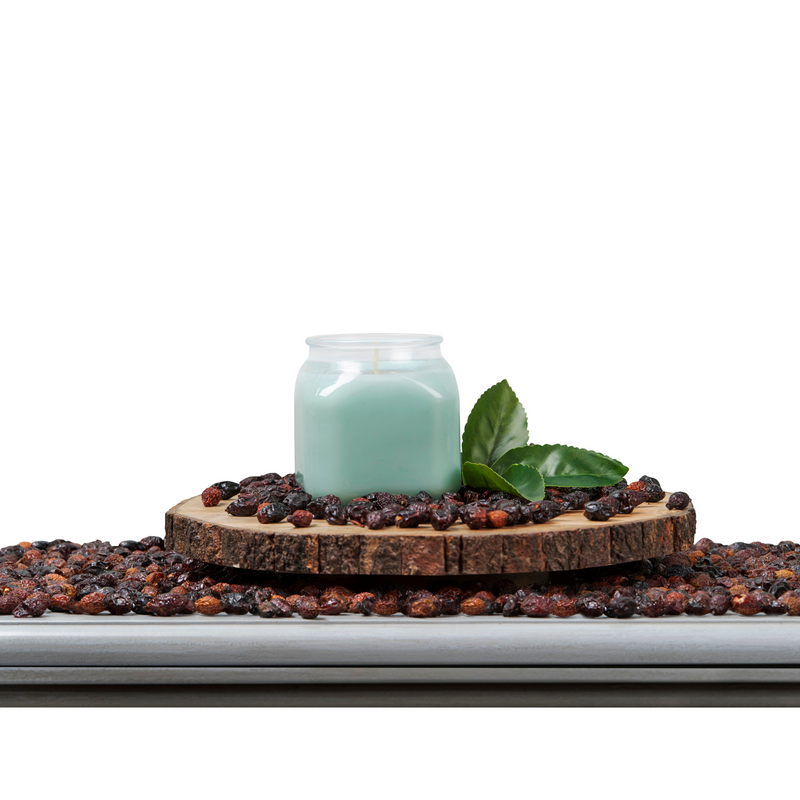 Grasshopper 20oz Soy Candle