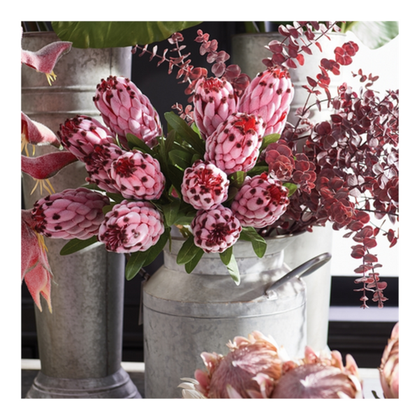 Queen Protea Stem